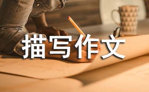 为什么篮球传说的训练方法能帮助你快速进步_2